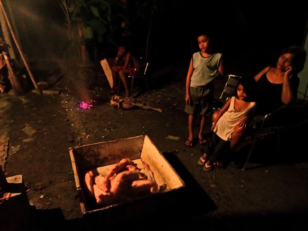 " Kapital der Familie, Piglets " , Ibajay - Aklan - Panay