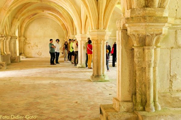 Kapitelsaal der Abtei Fontenay
