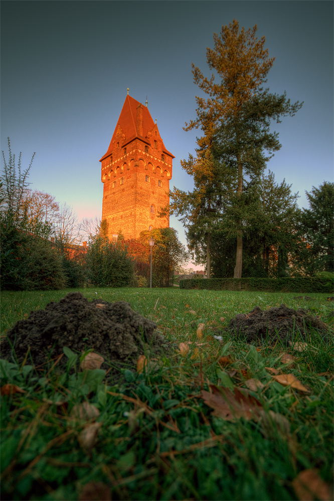 Kapitelturm Tangermünde