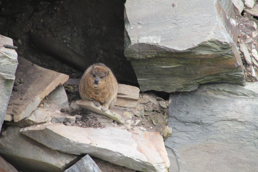 Kapotter Foto & Bild world, south africa, afrika Bilder auf