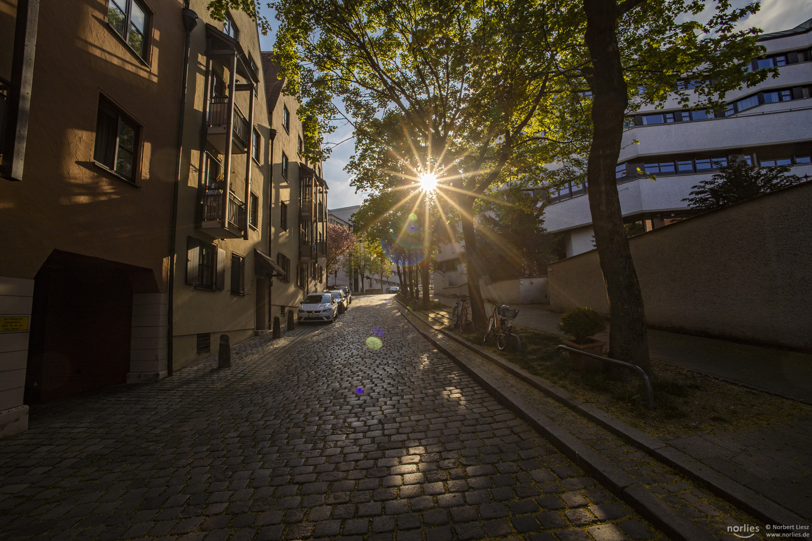 Kappelberg mit Gegenlicht