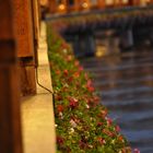 Kappelbrücke in Luzern