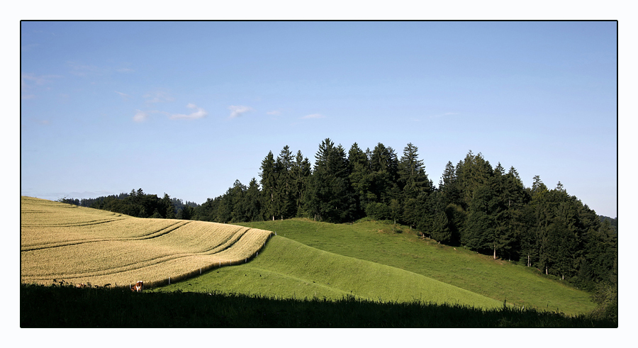 Kappeler im Emmental