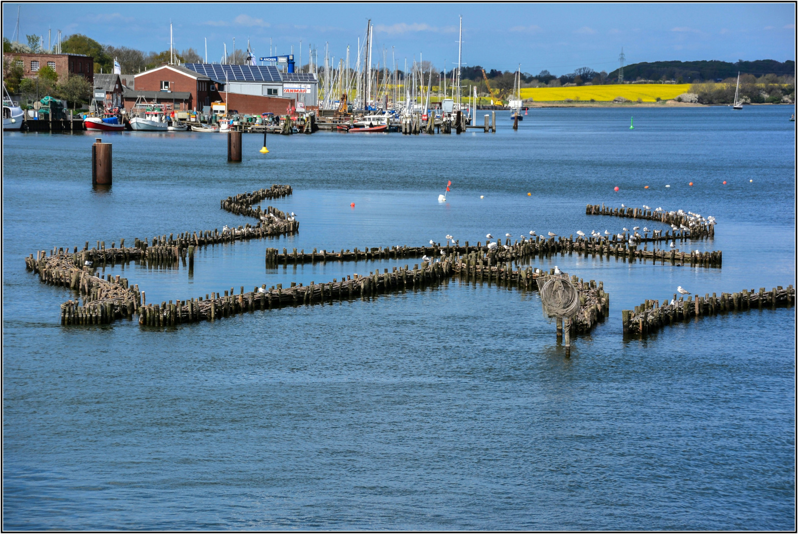 Kappeln an der Schlei (2)