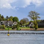 Kappeln an der Schlei (2)