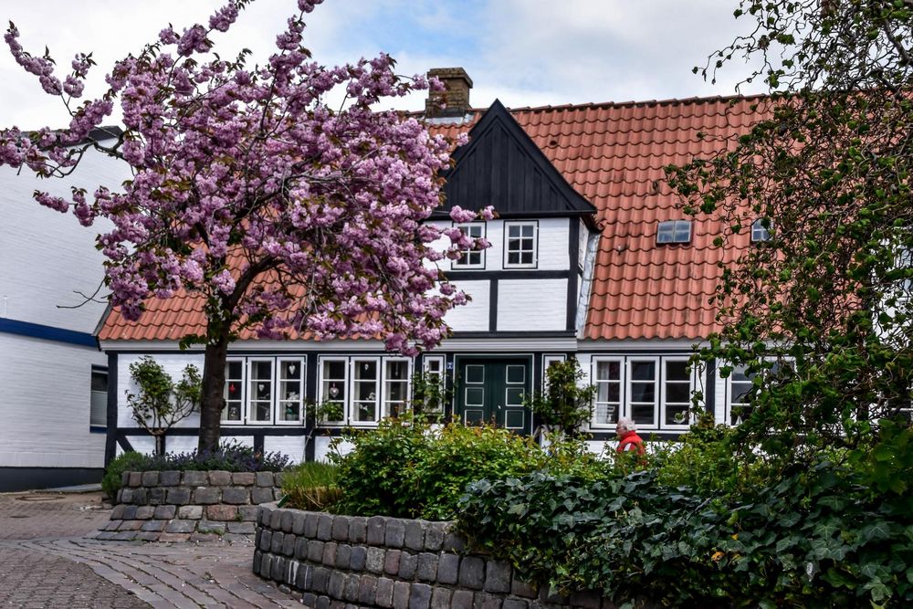 Kappeln an der Schlei (3) Foto & Bild deutschland, reise, schlei