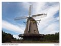 Kappwindmühle aus Borsfleth, Hessenpark von WildeHilde 