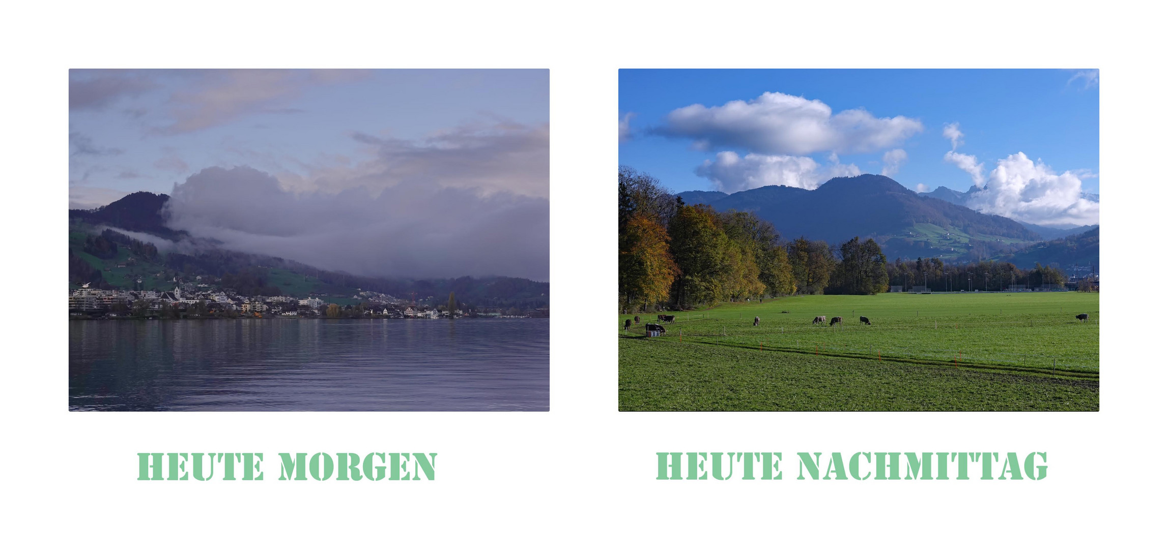 Kapriolen Foto & Bild landschaft, jahreszeiten, herbst Bilder auf