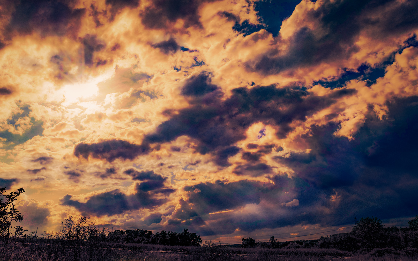 Kapriolen Foto & Bild landschaft, himmel, Äcker, felder & wiesen