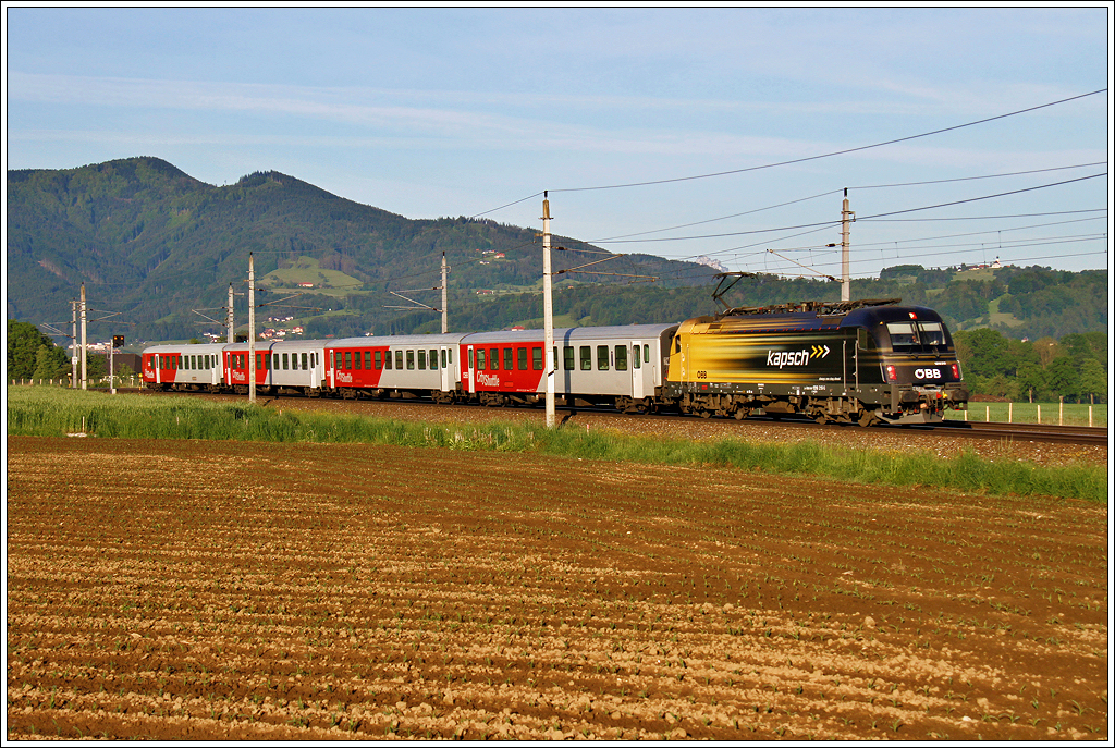 Kapsch am Morgen