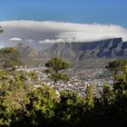 Kapstadt mit Tafelberg