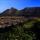 Kapstadt vom Signal Hill zur blauen Stunde