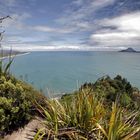 Kapu Te Rangi Kohi Point