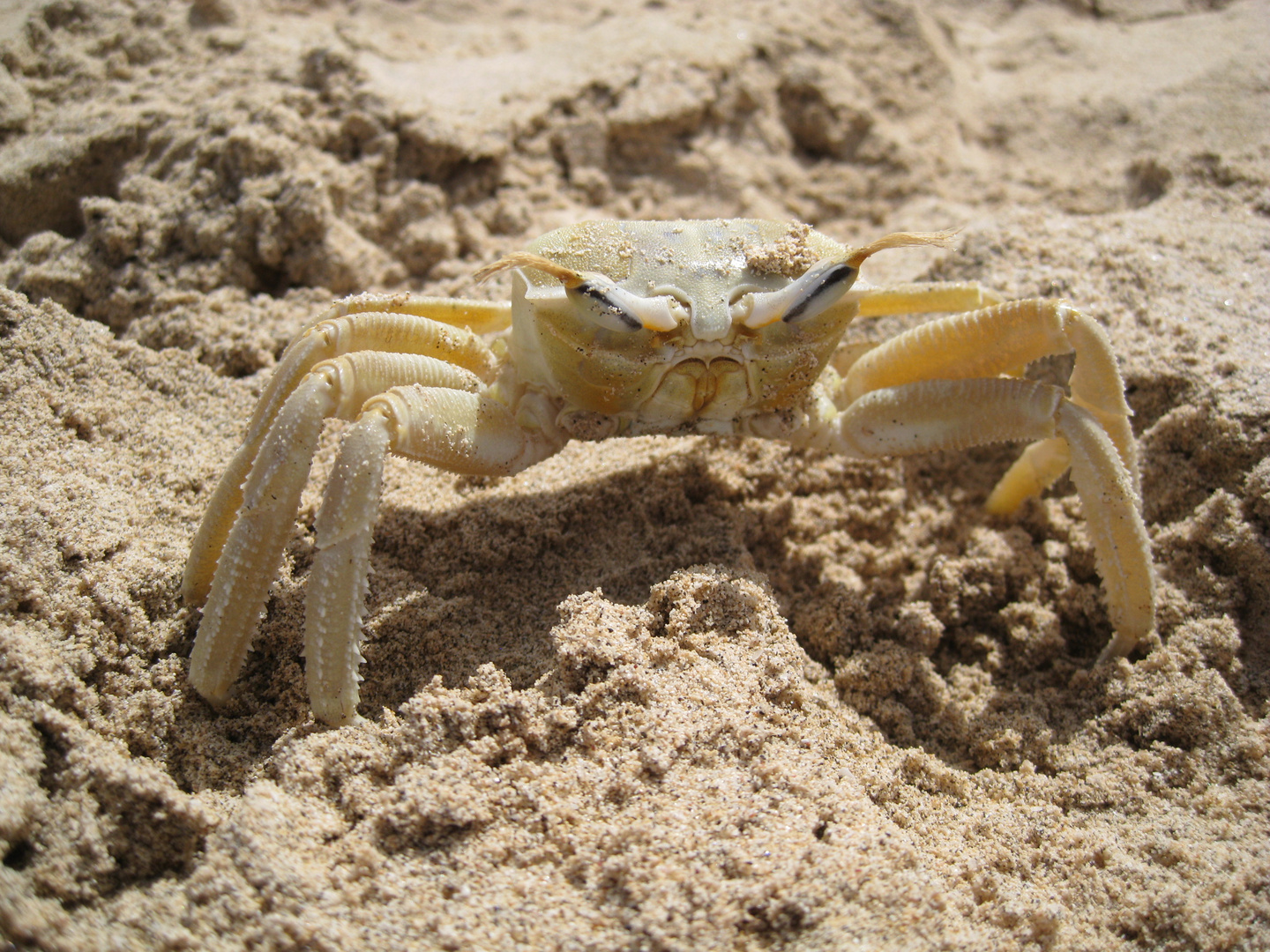 Kapverden am Strand