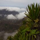 Kapverden - Insel Santo Antao (11)