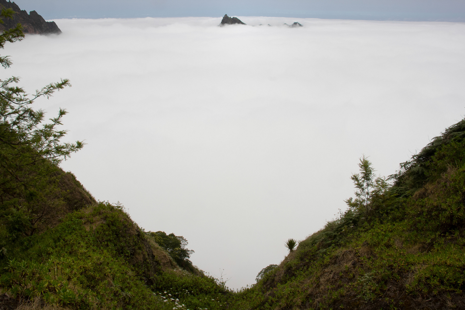 Kapverden - Insel Santo Antao (16)