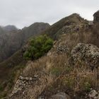 Kapverden - Insel Santo Antao (20)