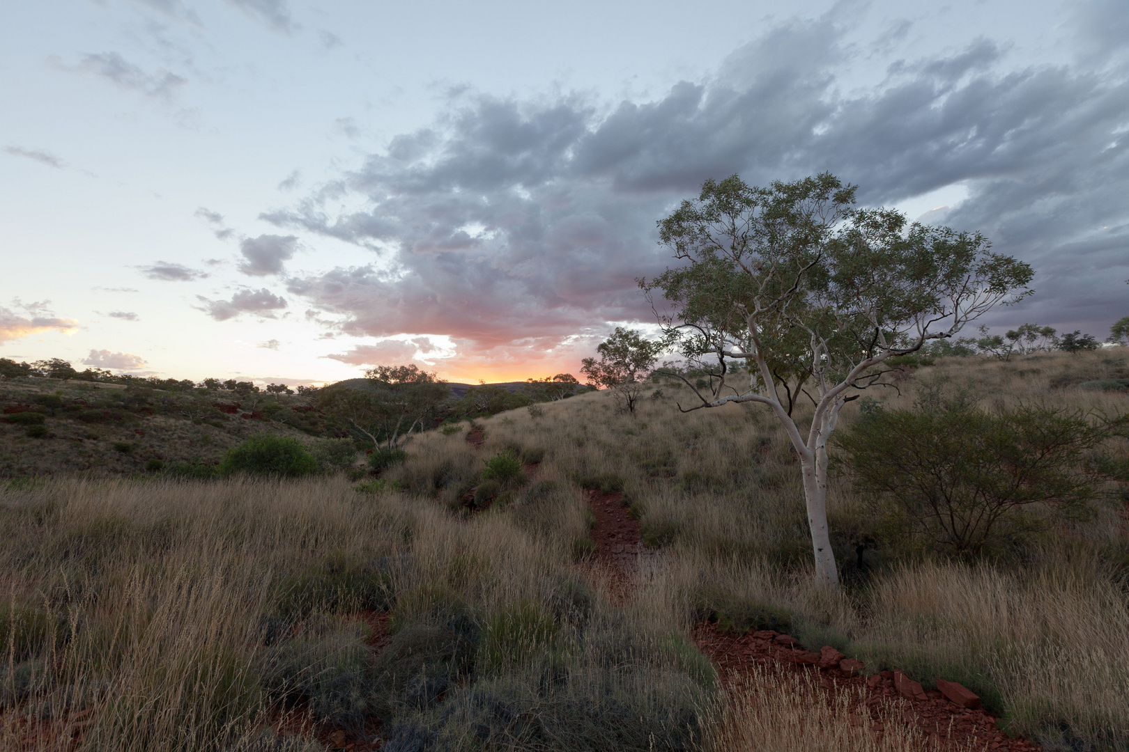 Karajini NP