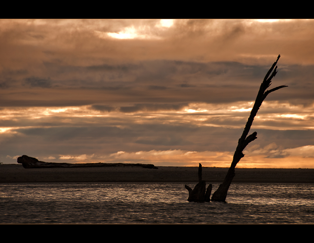 Karamea