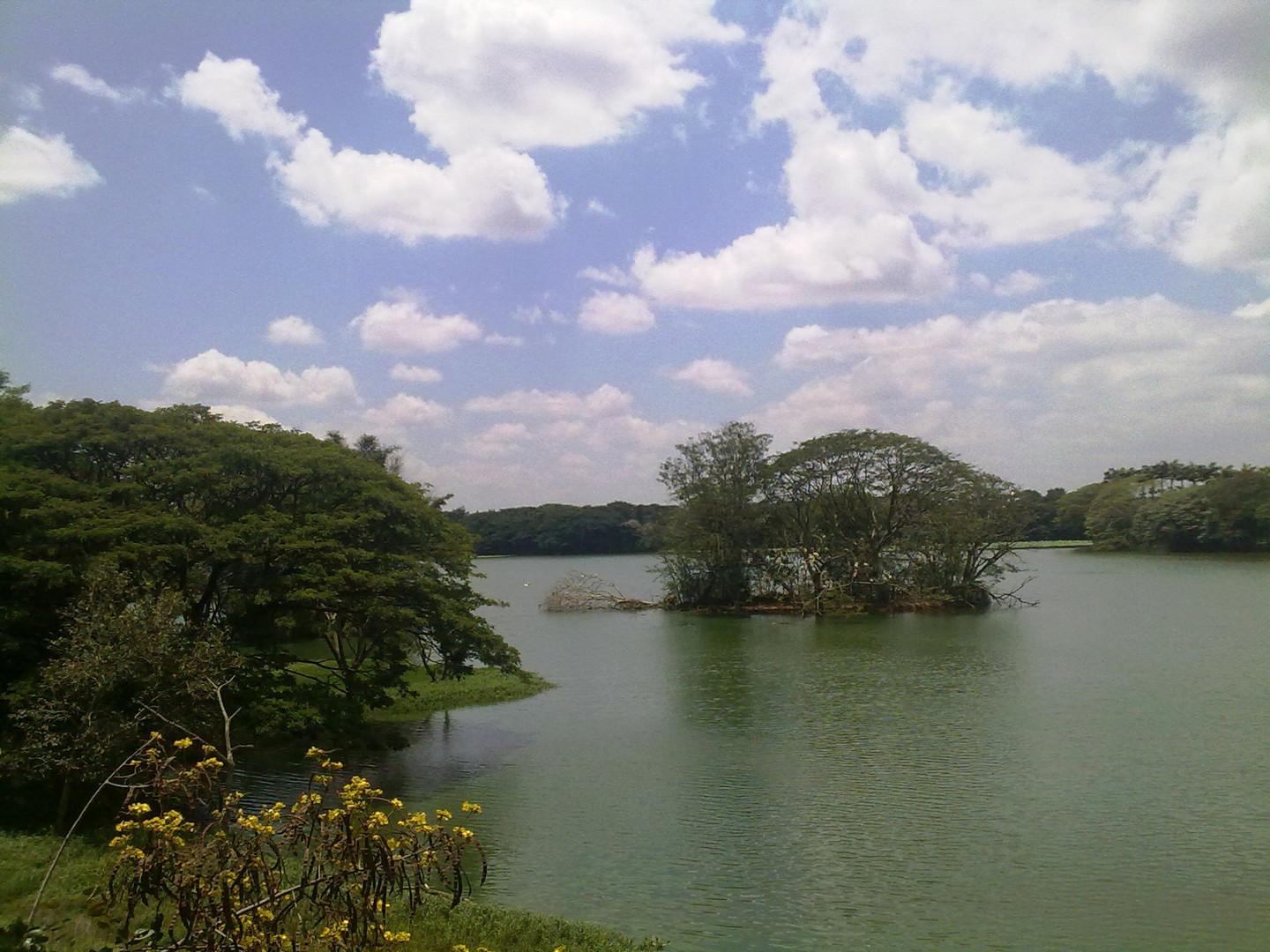 Karanji lake, Mysore