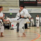 Karate 1