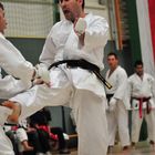 Karate 10