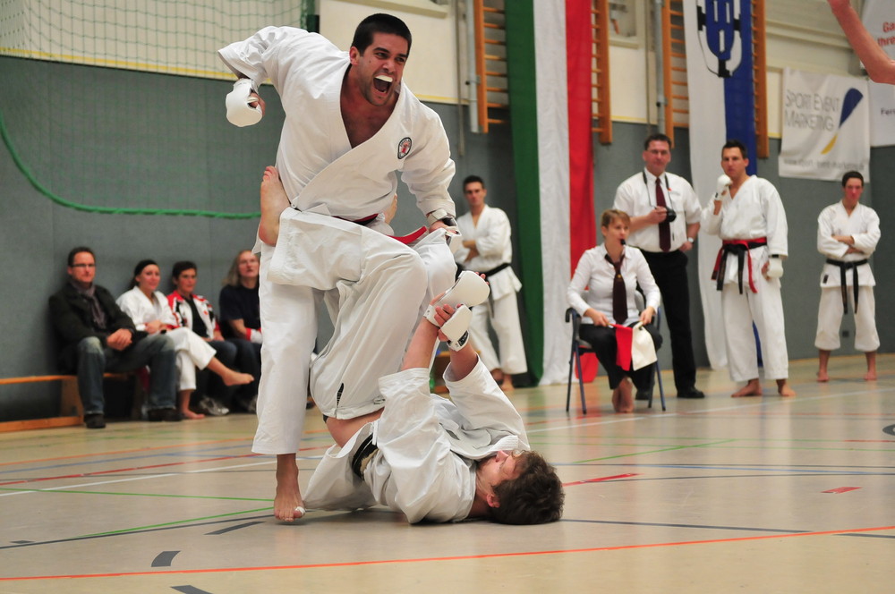 Karate 13