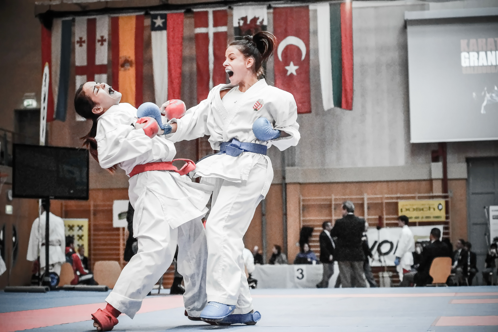 Karate Premier League