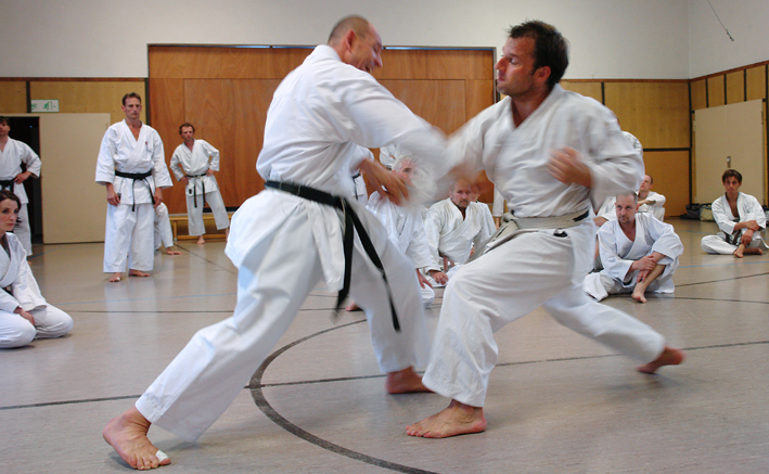 karate-toni dietl 5. dan meister