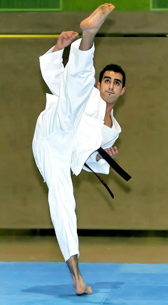 karate und( kickbox europameister)