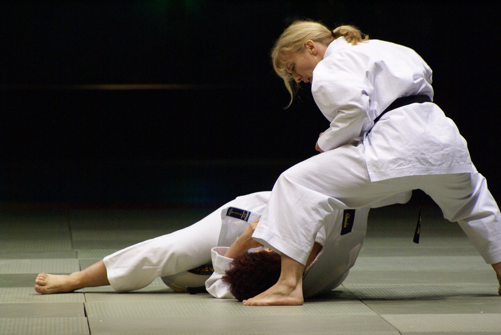 Karatekas beim Budofestival