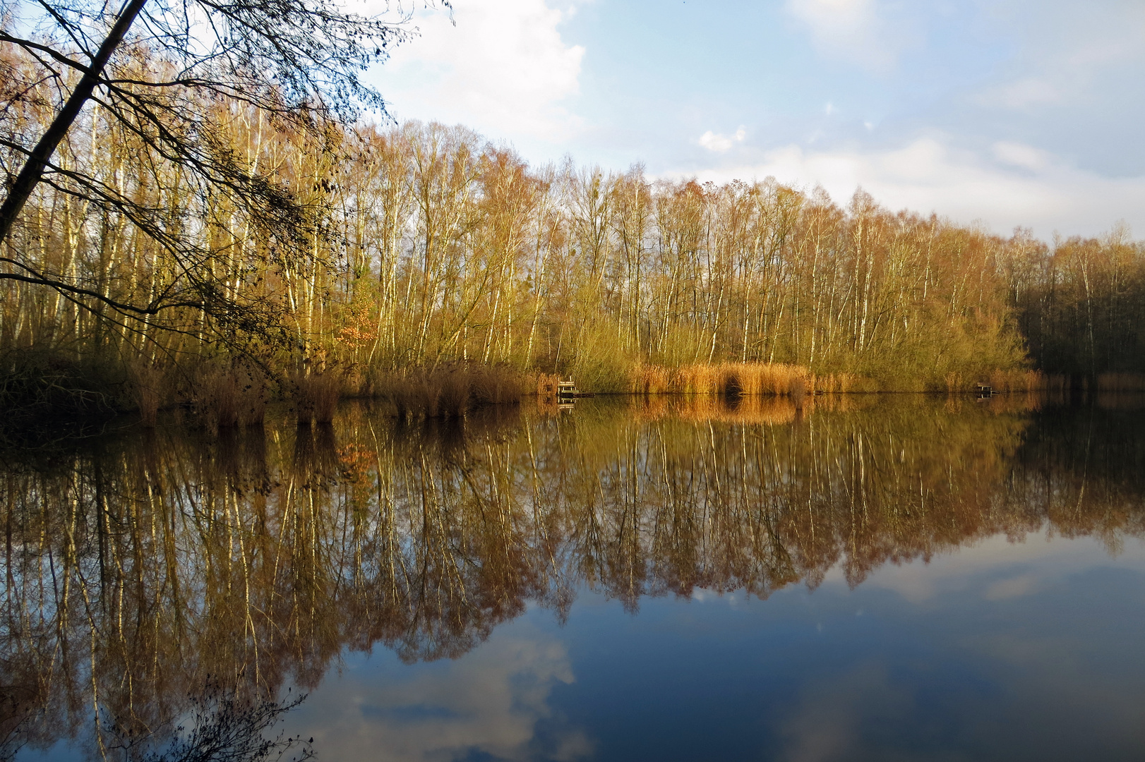 Karauschenweiher in der Ville