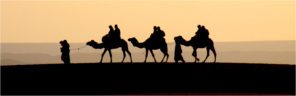 Karawane in den Dünen von Merzouga..