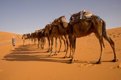 Karawane in der Sahara, Erg Chebbi, Merzouga - 2