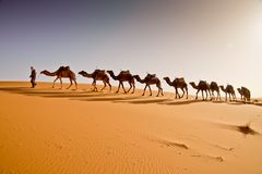 Karawane in der Sahara, Erg Chebbi, Merzouga - 3