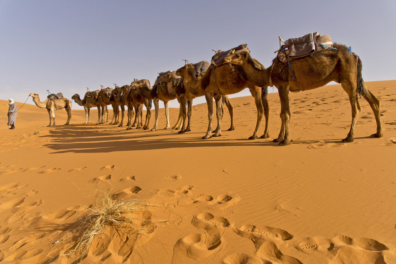 Karawane in der Sahara, Erg Chebbi, Merzouga - 4