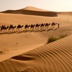 Karawane in der Sahara, Erg Chebbi, Merzouga