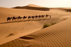 Karawane in der Sahara, Erg Chebbi, Merzouga