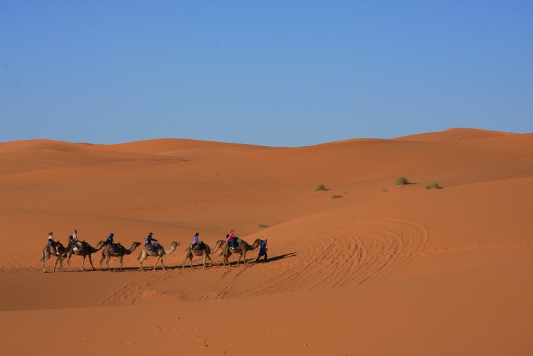 Karawane in der Sahara