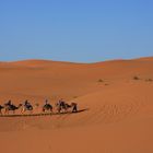 Karawane in der Sahara