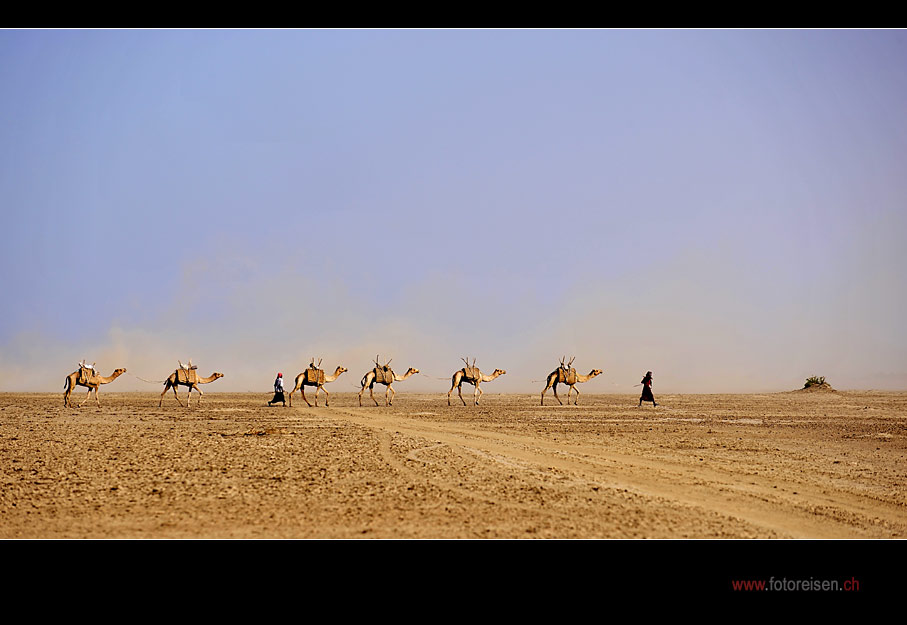Karawane in der Wüste Danakil