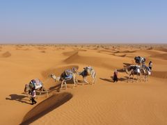 ...Karawane in traumhaften Dünen...