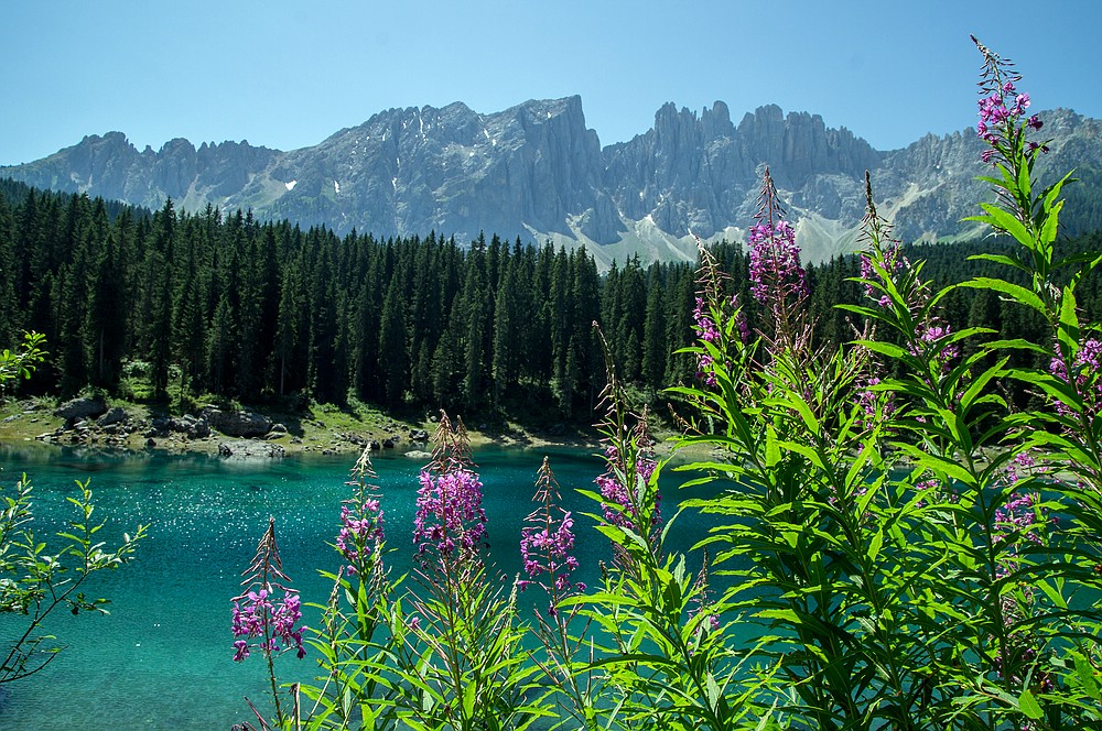 Karersee im Gegenlicht