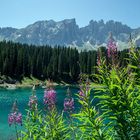 Karersee im Gegenlicht