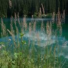 Karersee Südtirol 2014 08