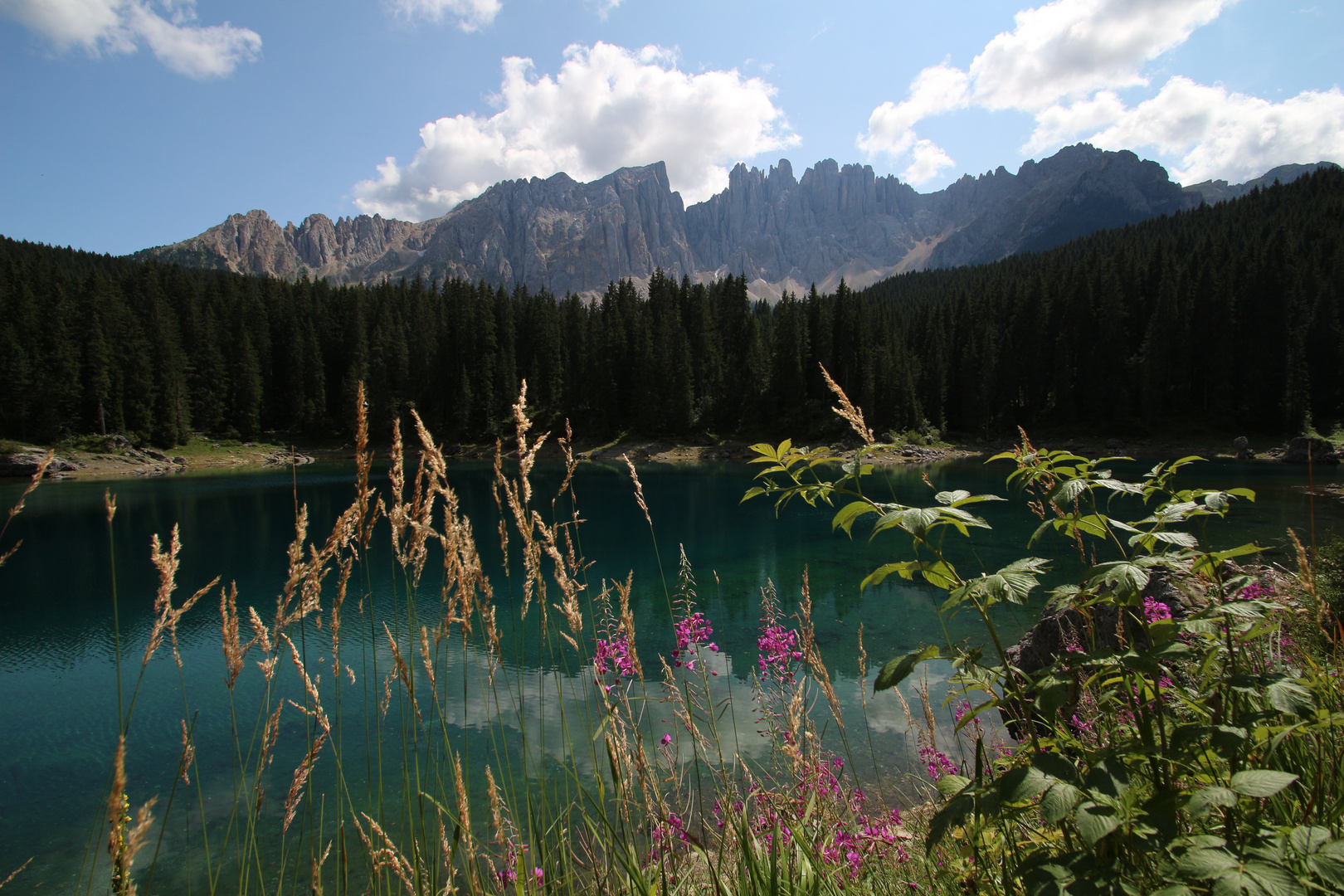 Karerwildsee 2013