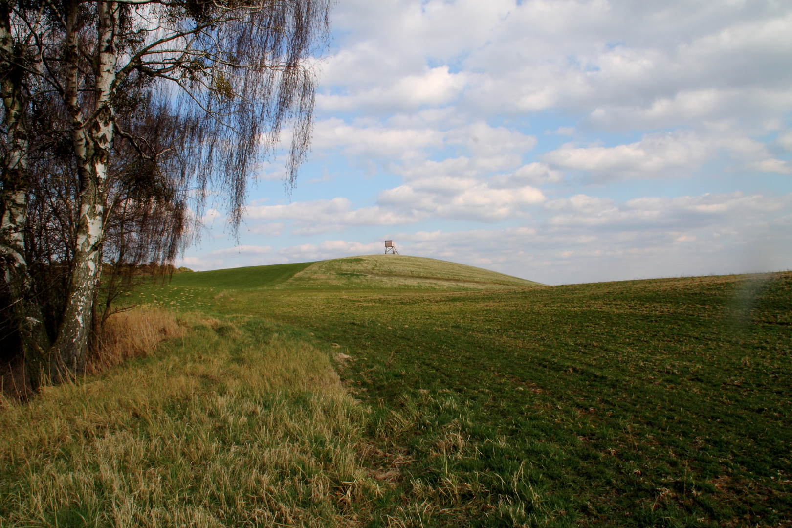 Karfreitag unterwegs- Felder hinter dem Demenzsee