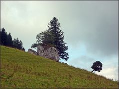 karge Landschaft