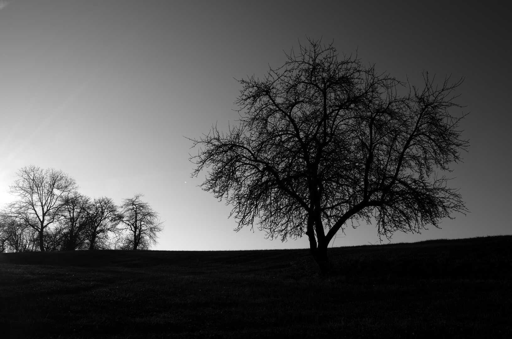 Karge Landschaft