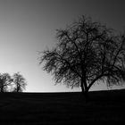 Karge Landschaft